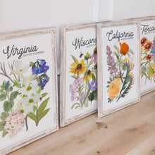 Load image into Gallery viewer, Illinois Native Flower Art Print