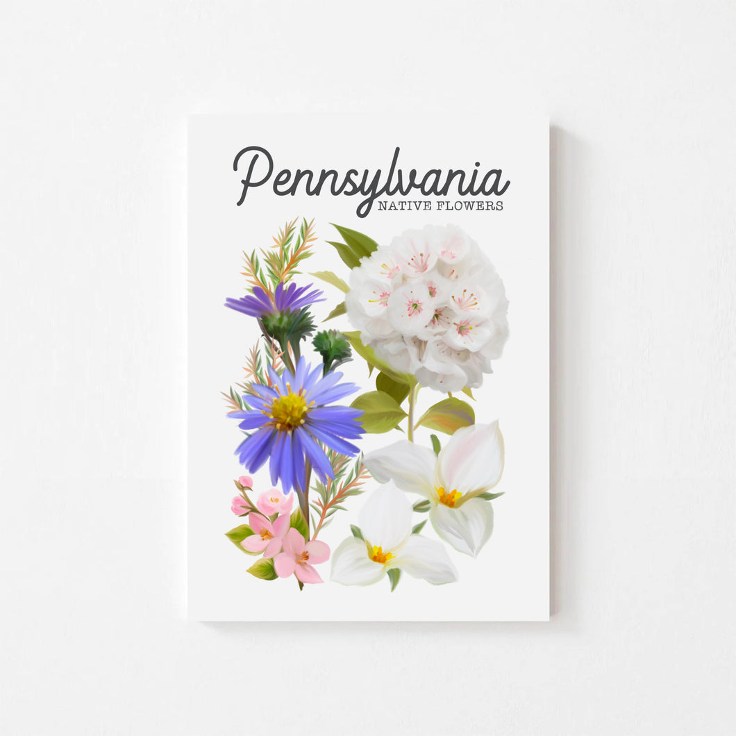 Pennsylvania Native Flower Art Print