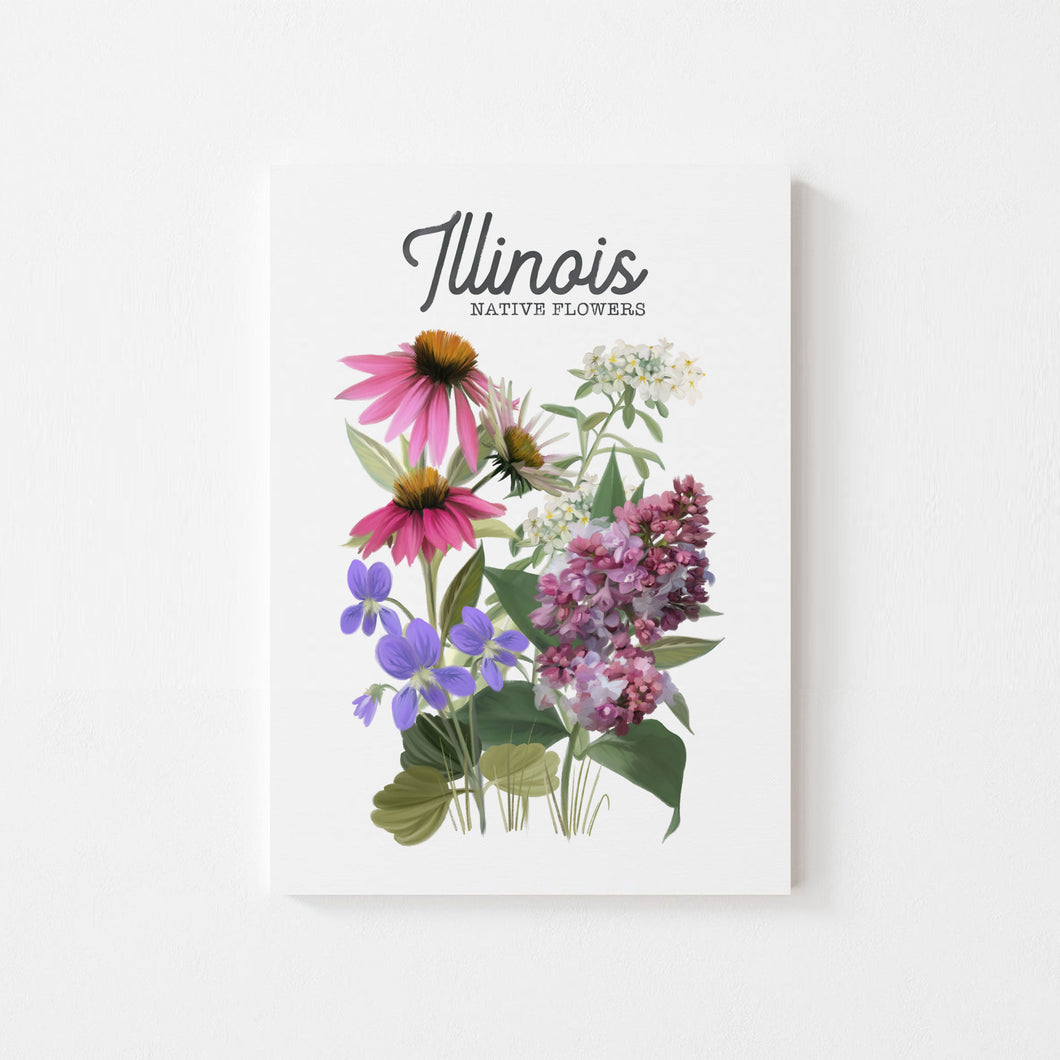 Illinois Native Flower Art Print