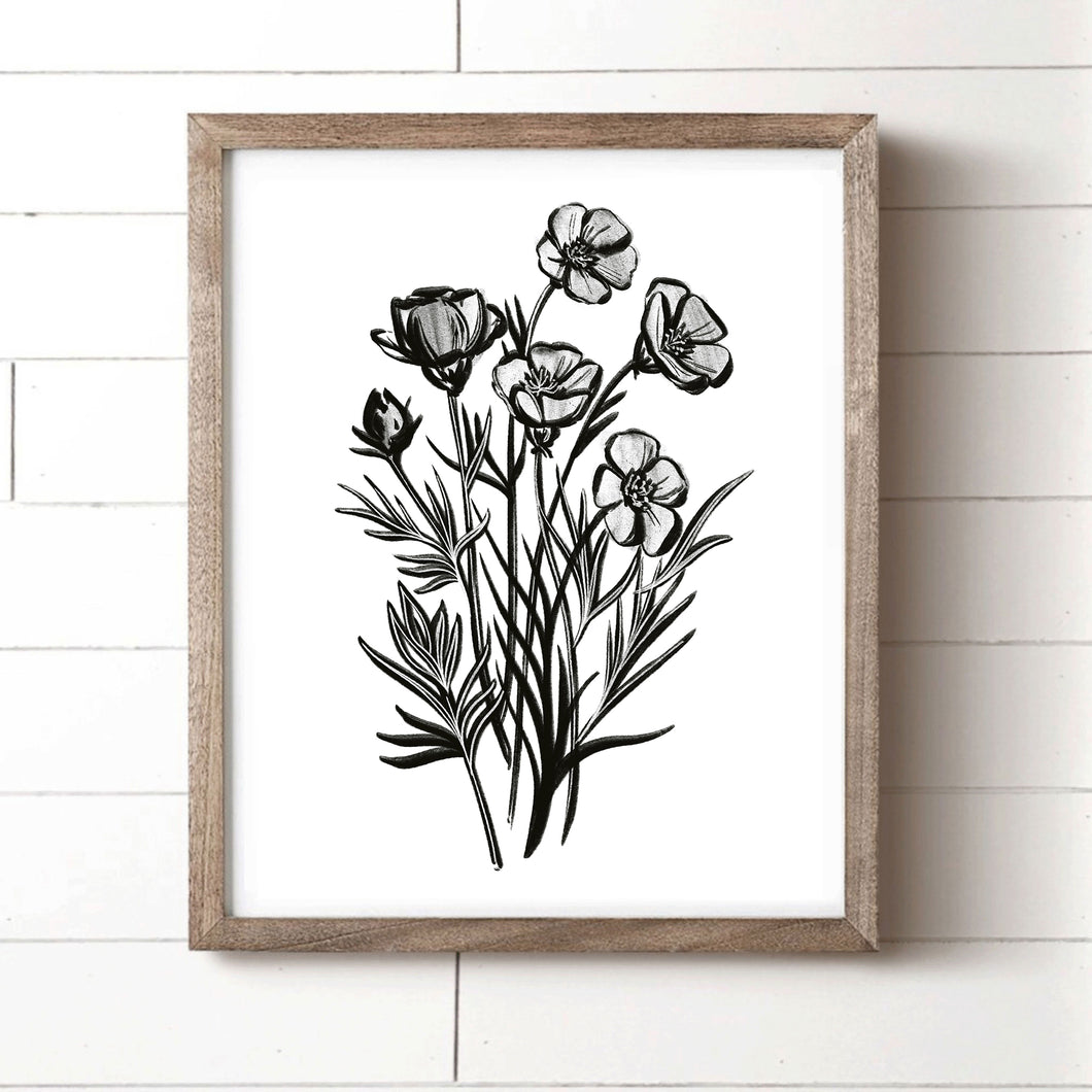 Black and White Pen and Ink Daisy Art Print
