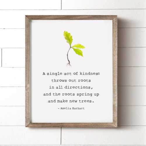 Single Act of Kindness Art Print - House Fenway
